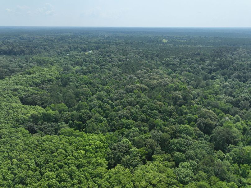 dji_fly_20230530_111434_135_1685483414262_photo