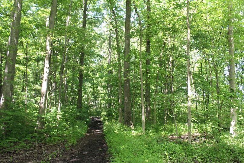trail 18