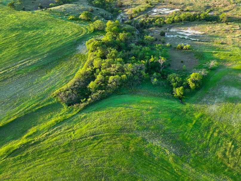 dji_fly_20250512_065032_112_1747051048503_photo