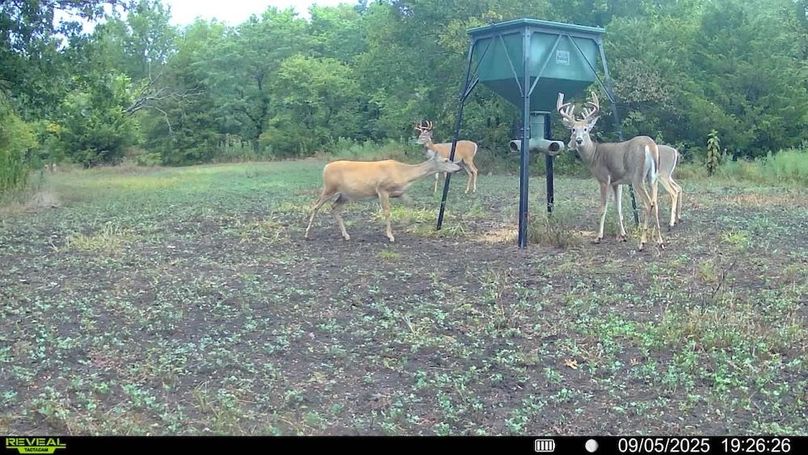 016579000173638-100-3-09052025192626-v-syfw00974