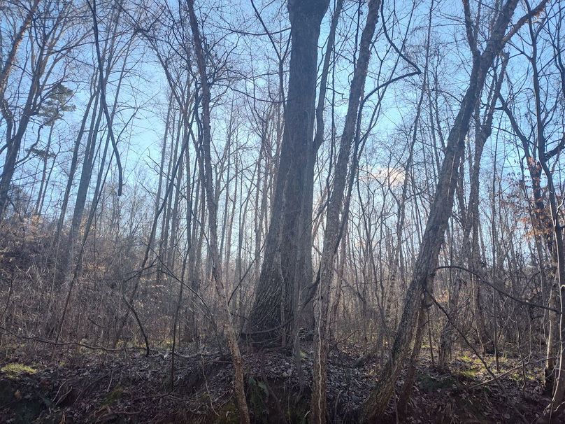 IMG_20240302_164859126_HDR