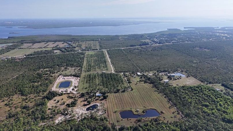 DJI_20251206101558_0103_D