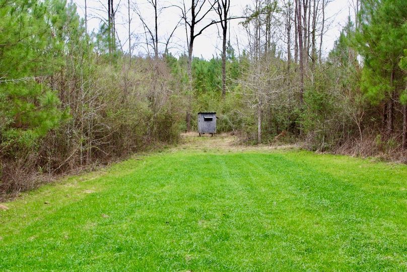 696A72D0-12A7-4AC5-9980-7C148F126906_1_105_c