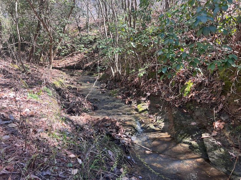 017_Creek