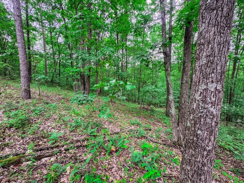 Tyler, WV 313.87 AC -32