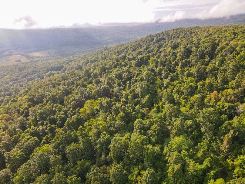 dji_fly_20250826_084212_702_1756215746173_photo