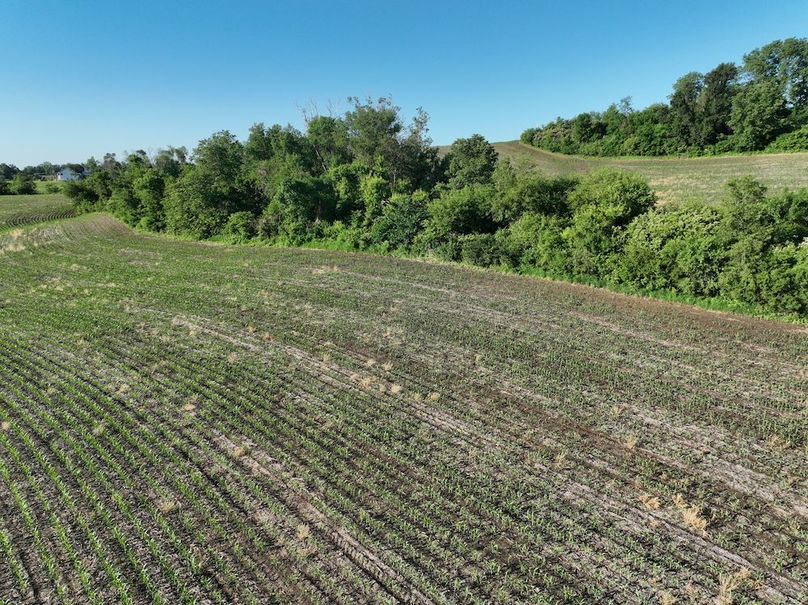 dji_fly_20260601_080004_520_1780319398445_photo