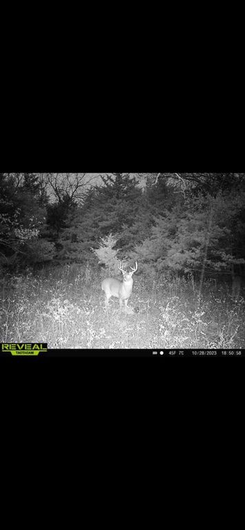 IMG_9403
