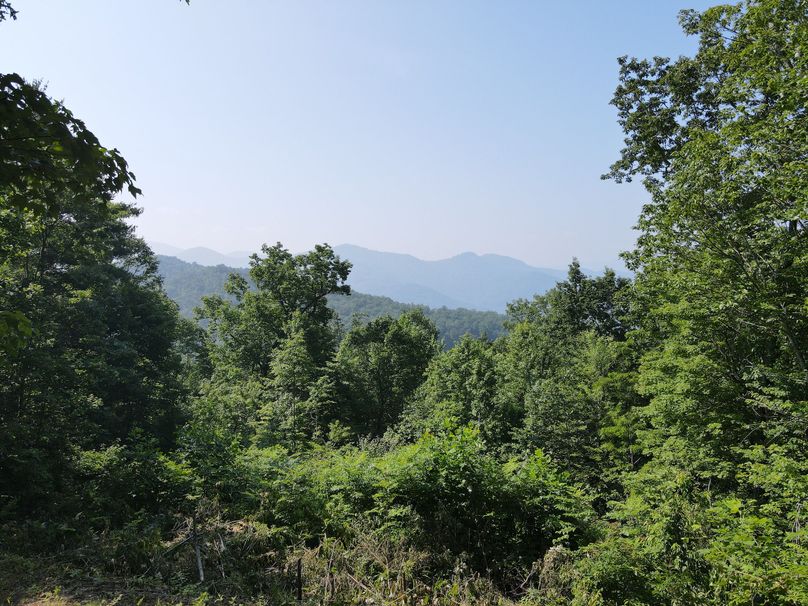 Macon 3.38 Bloodworth-07