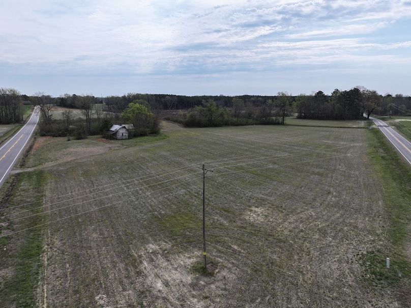 Copy of DJI_20260303065649_0609_D