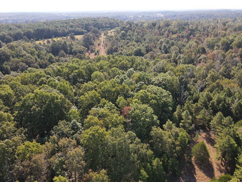 dji_fly_20250902_095254_716_1756824783132_photo