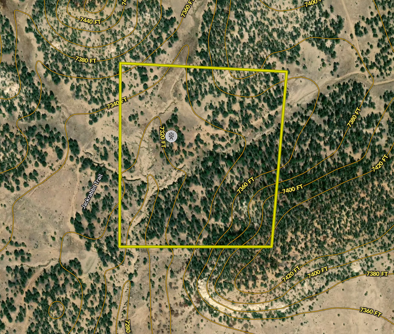 Screen Shot 2022-07-14 at 8.03.33 AM