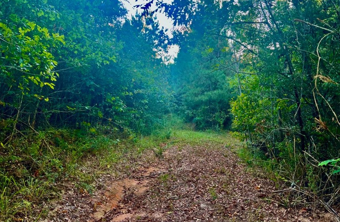 61D8573A-F09A-4DF8-B211-650E9BC480C5_1_201_a