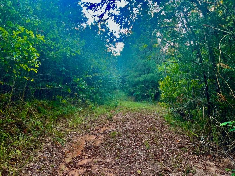 61D8573A-F09A-4DF8-B211-650E9BC480C5_1_201_a