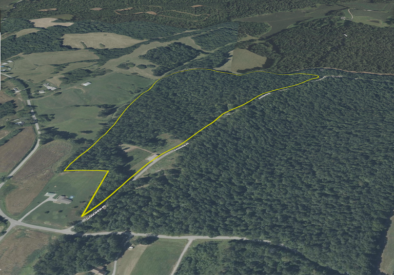 Crittenden KY 588.449.aerial.Tract 1 3d