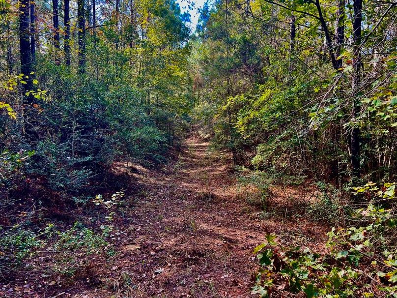 3784303D-2333-4F6F-A073-BF30719C93E4_1_201_a