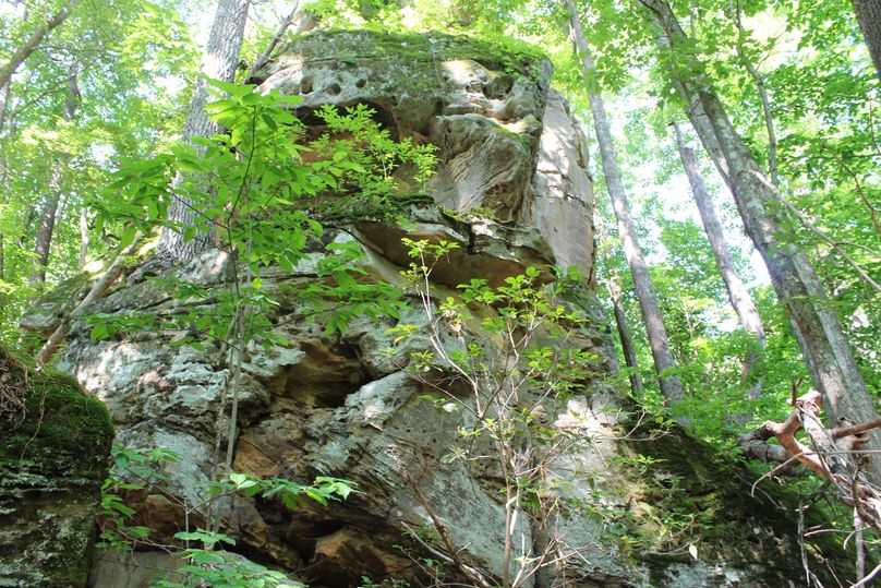 023 the view from below as the rock knob rises through the trees