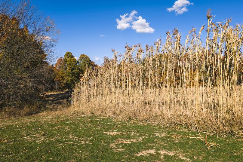 DJI_20251107134139_0136_D-HDR