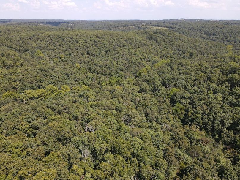 dji_fly_20250818_150542_655_1755547558829_photo