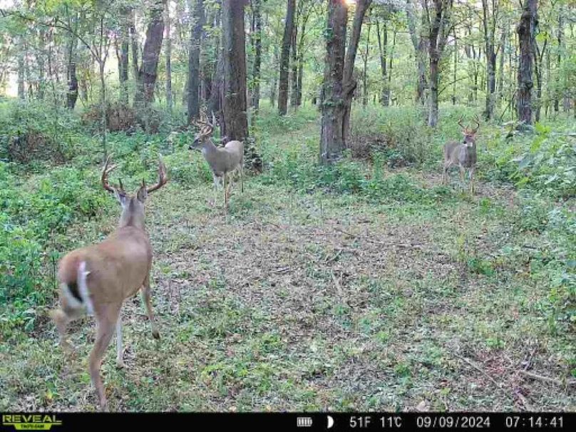 860322064461640-90-4-09092024071440-W1000066