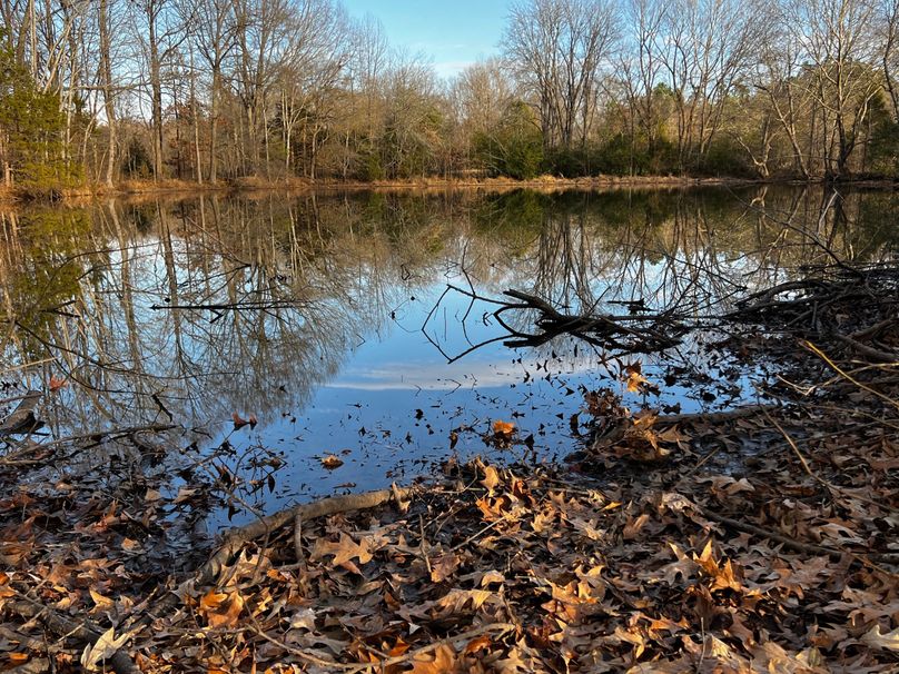 3Pond Surface