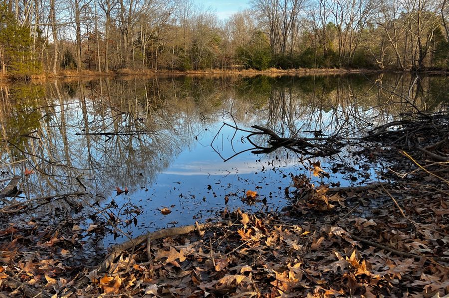 3Pond Surface