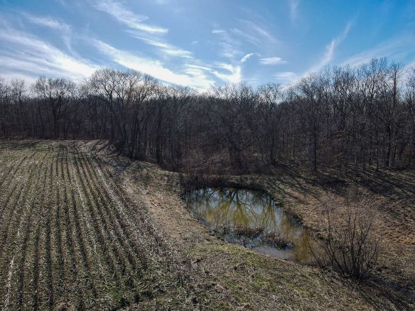 vandalia 450 (2)-2247