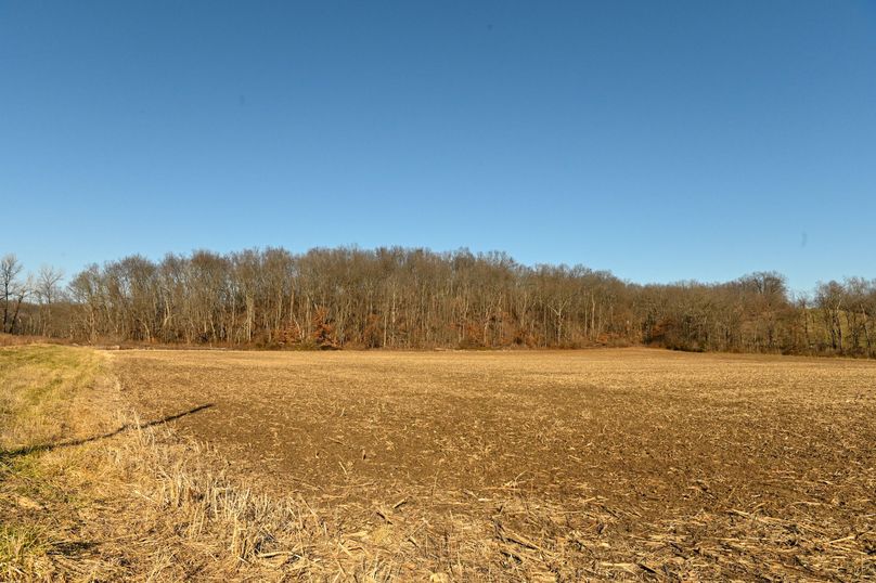 vandalia 450 (2)-675