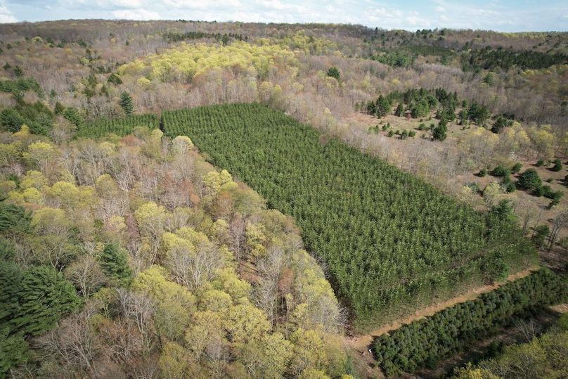 Tioga_76.65_Matyjas_Photos_10