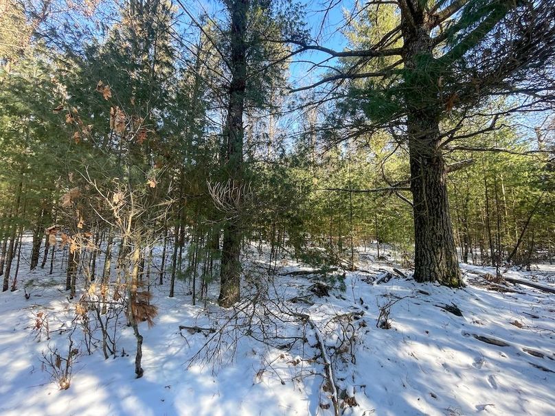 Adams 25, Nessler -34