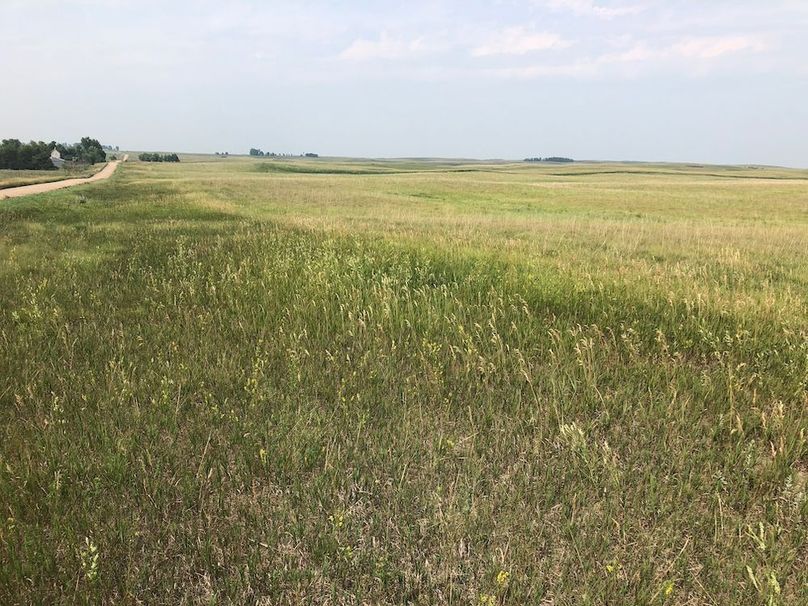 13. Looking North along Western Boundary