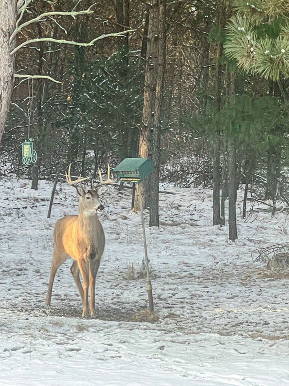 Juneau 27 Wiesner -003