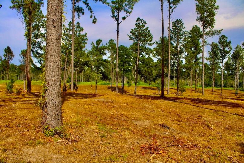 BC2D6B8D-9FBE-4AE1-A94F-125614E4E3E2_1_105_c