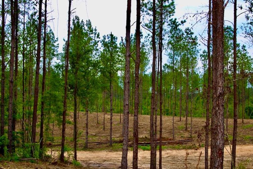 4C847329-B22D-44DC-8D46-3158FC318D39_1_105_c