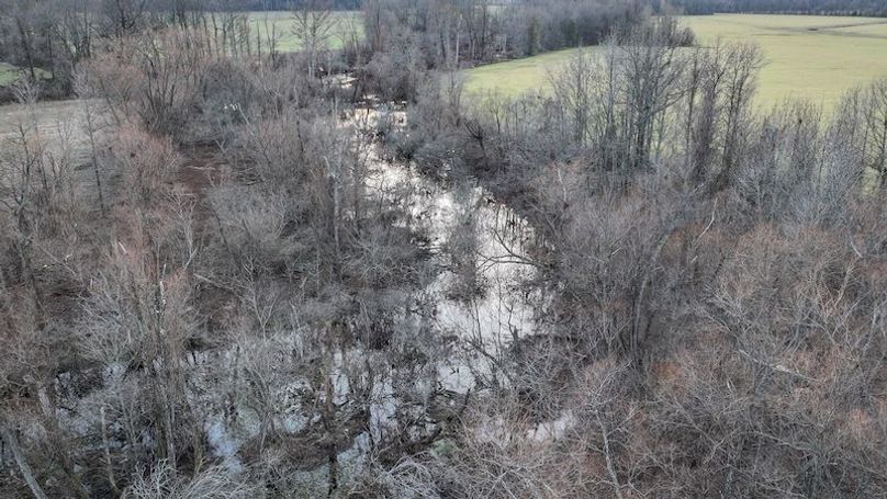 Phillips 8.5 Trahan -34