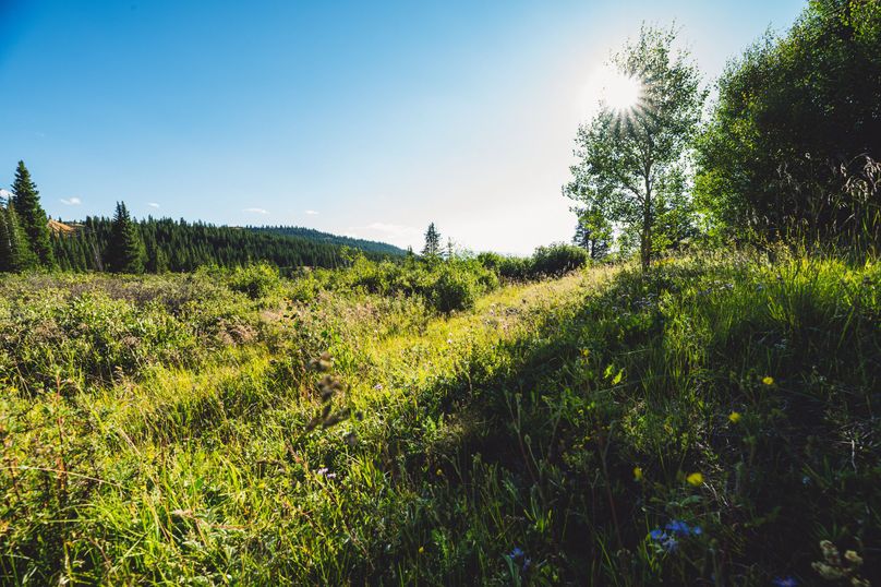 Lake CO 41.32 Nolan - 08 lower parcel