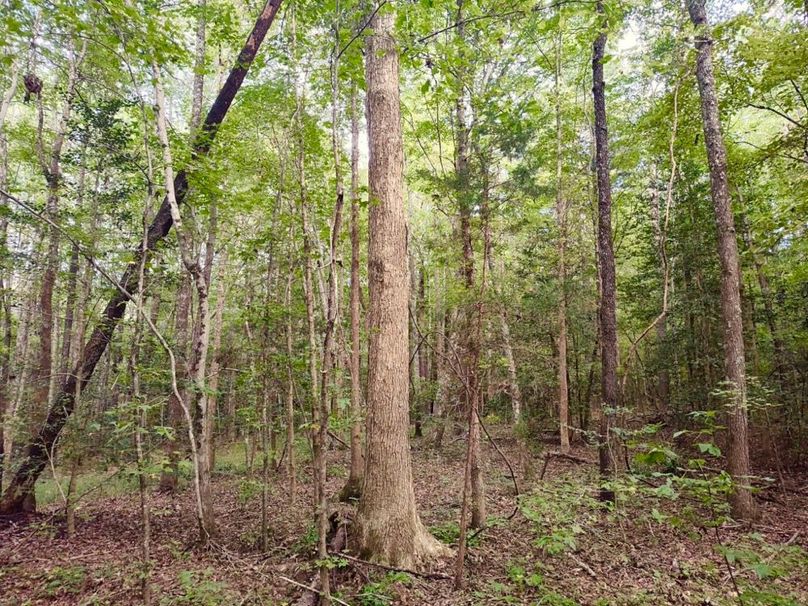 IMG_20250914_174313730