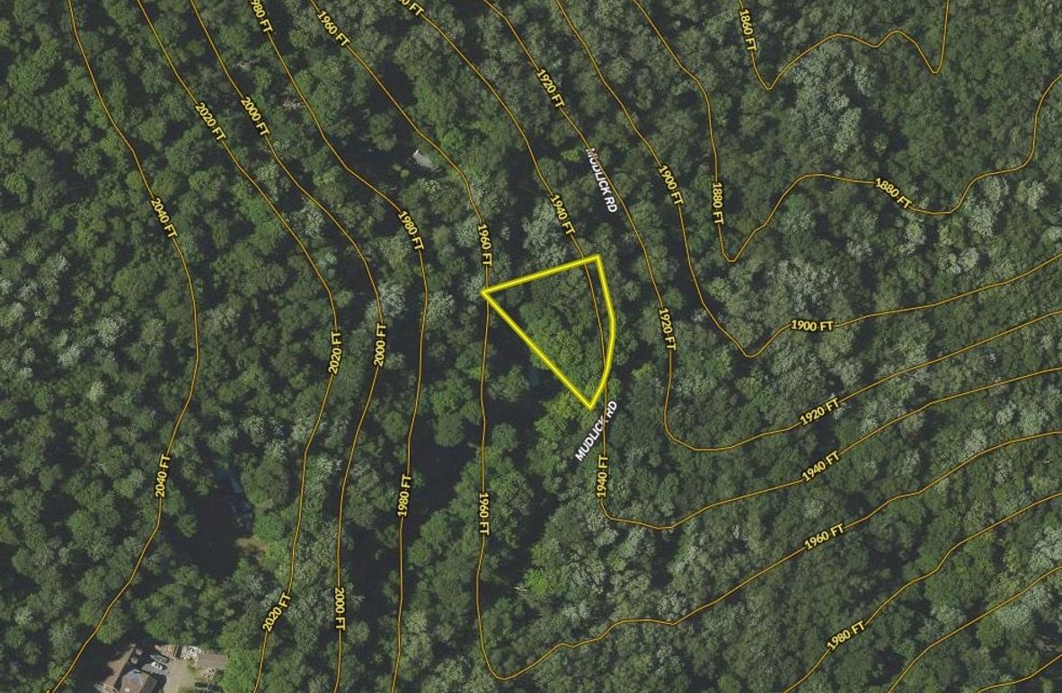 Screen Shot 2024-02-15 at 11.17.56 AM