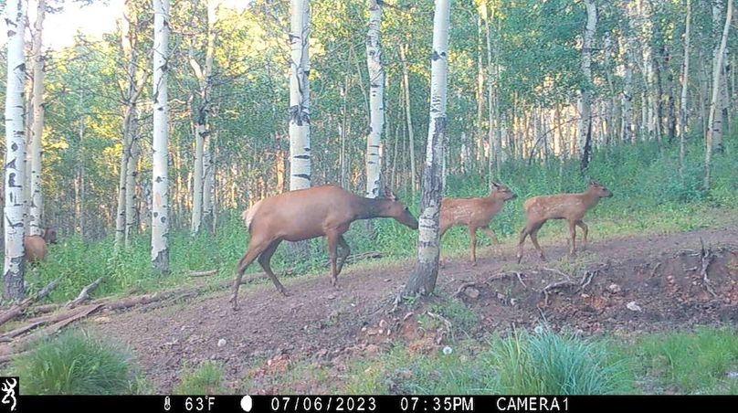 IMG_0141 - frame at 0m4s