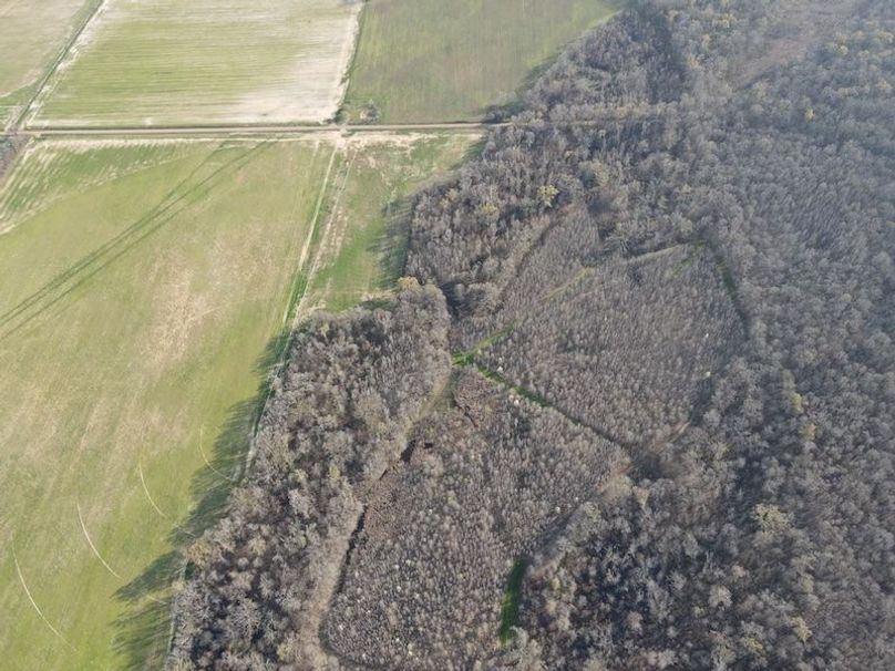 dji_fly_20240303_161522_103_1709504133327_photo copy