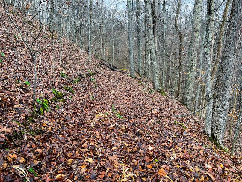 Calhoun, WV 225.69 AC Duffield-58