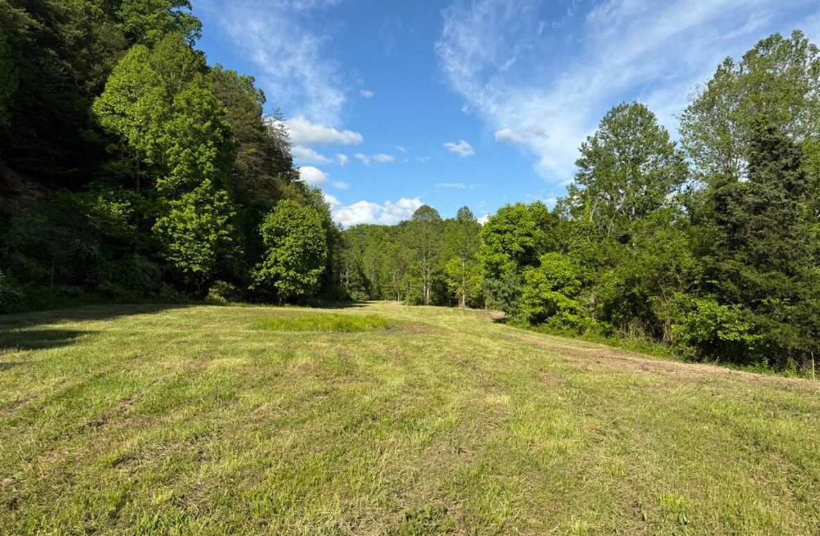 005 one of several open field areas in the north section of the property