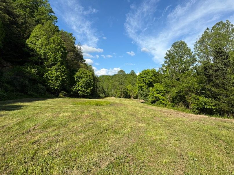 005 one of several open field areas in the north section of the property