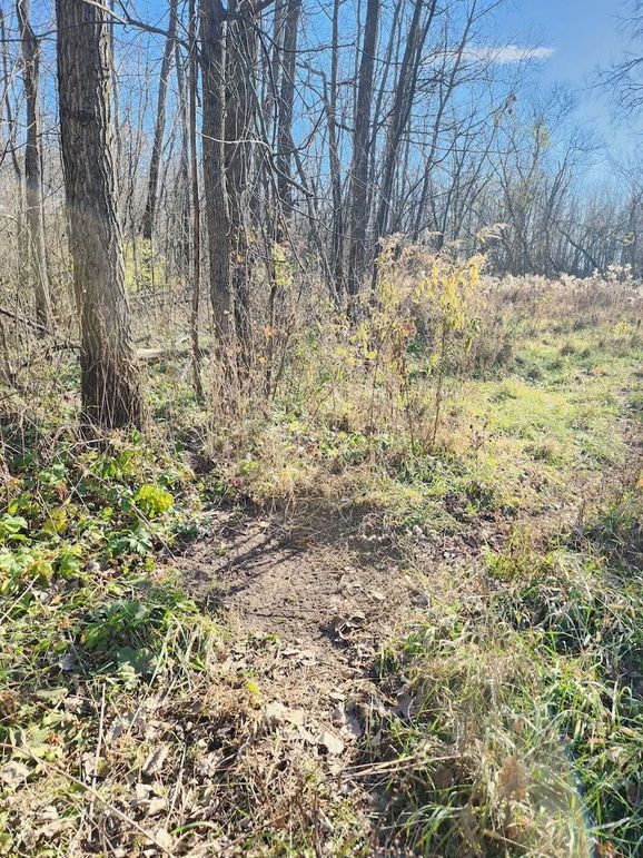 c22134bd-2948-45fe-a372-d214999d3061