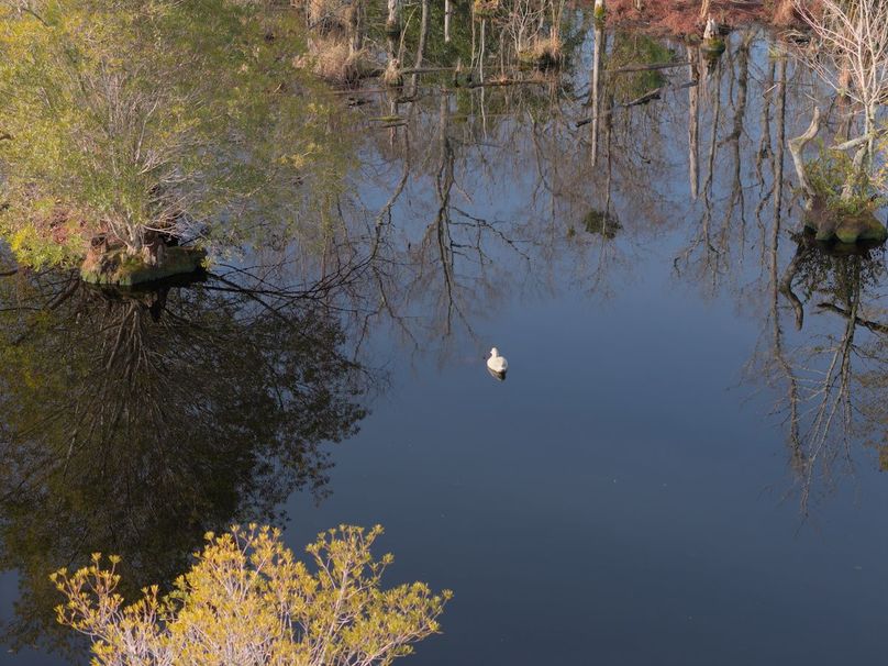 DJI_20240227082725_0018_craven60