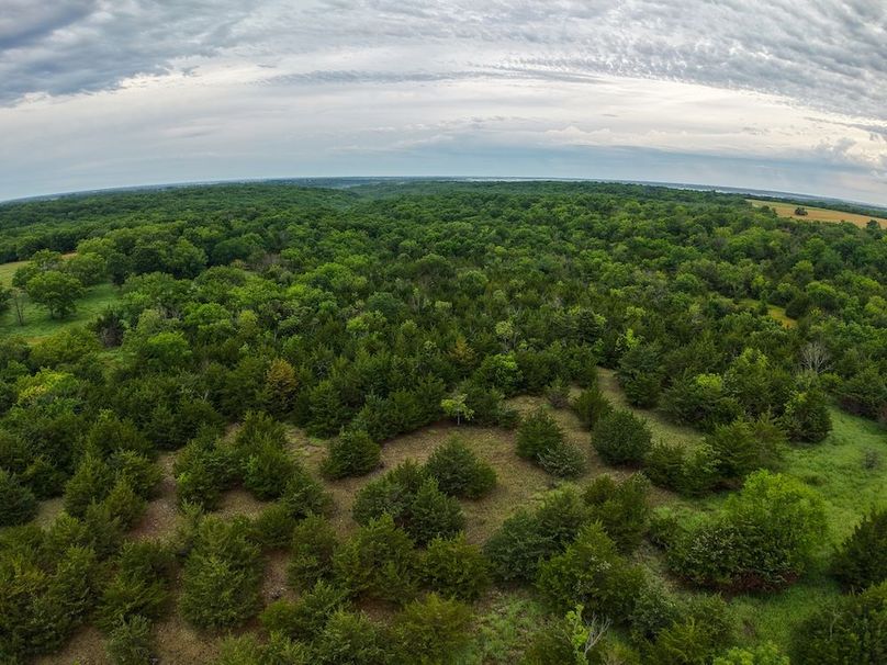 DJI_20250630065540_0275_D