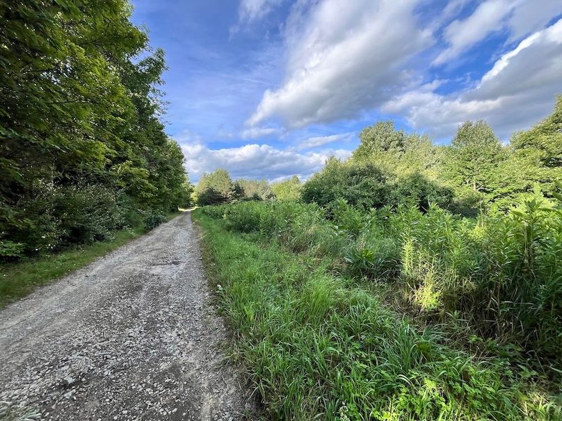 Chemung_78.26+Gutchess_Lumber_Photos_5