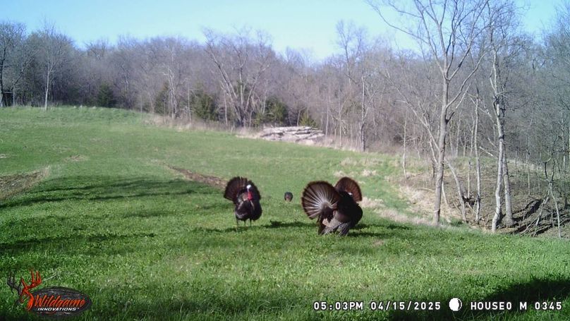 TRAIL CAM 4