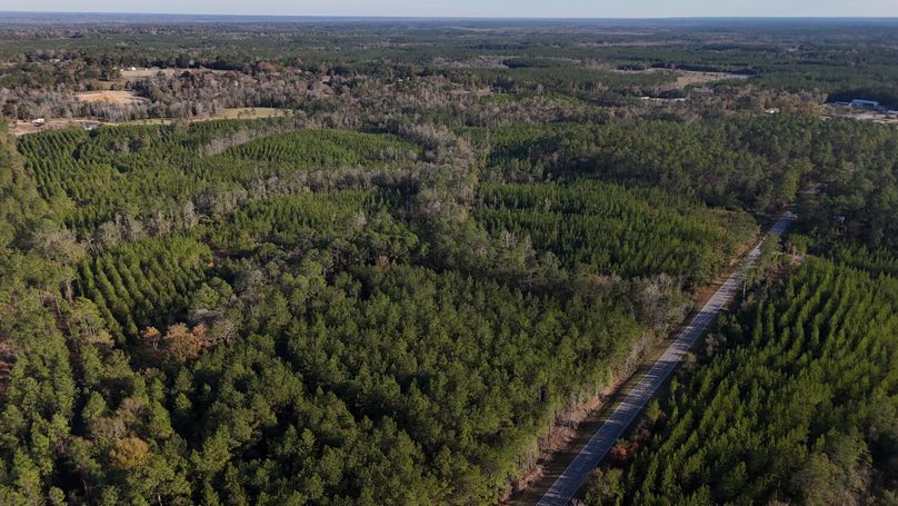 DJI_20231213151307_0011_D