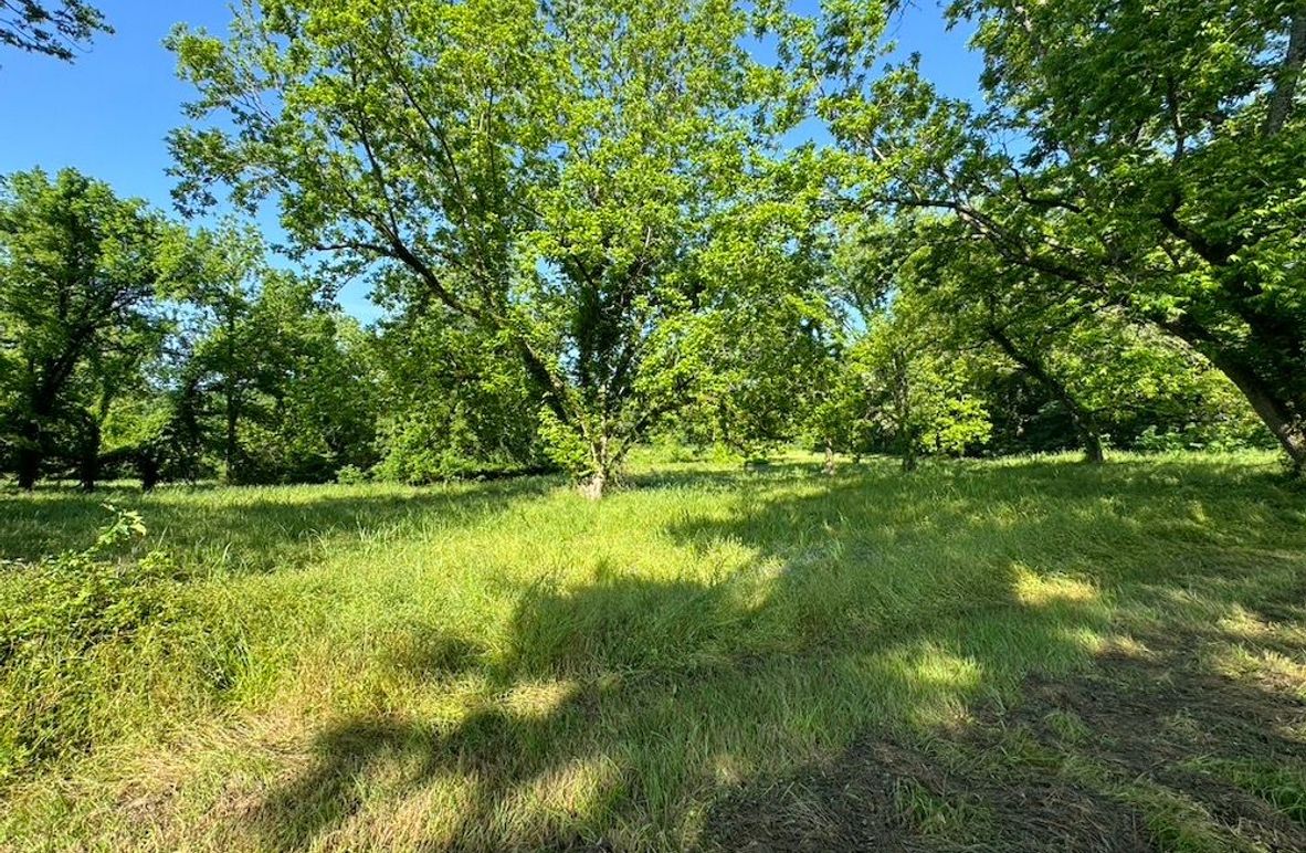 8A549906-C174-4D6C-A530-891A63868F5A_1_105_c